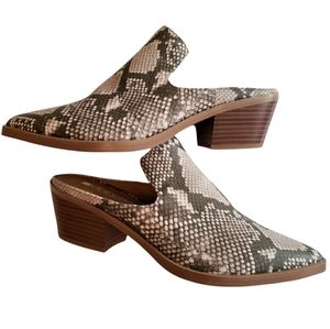 Python Serena Mules Size 7.5 NEW Women's Snakeskin Animal Print Dolcetta